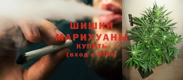 spice Сосновка